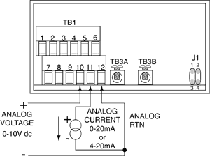 Analog Output Connections